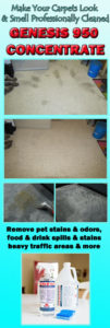 best carpet cleaning solution