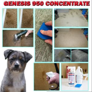 Genesis 950 Pet Stain Remover
