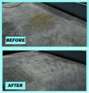 DIY Carpet Cleaning Pasta Stains