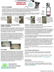 DIY Carpet Cleaning Instructions